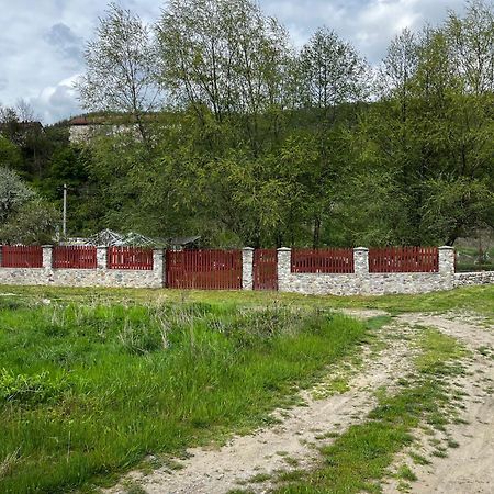 La Gradina Mehadija Exterior foto